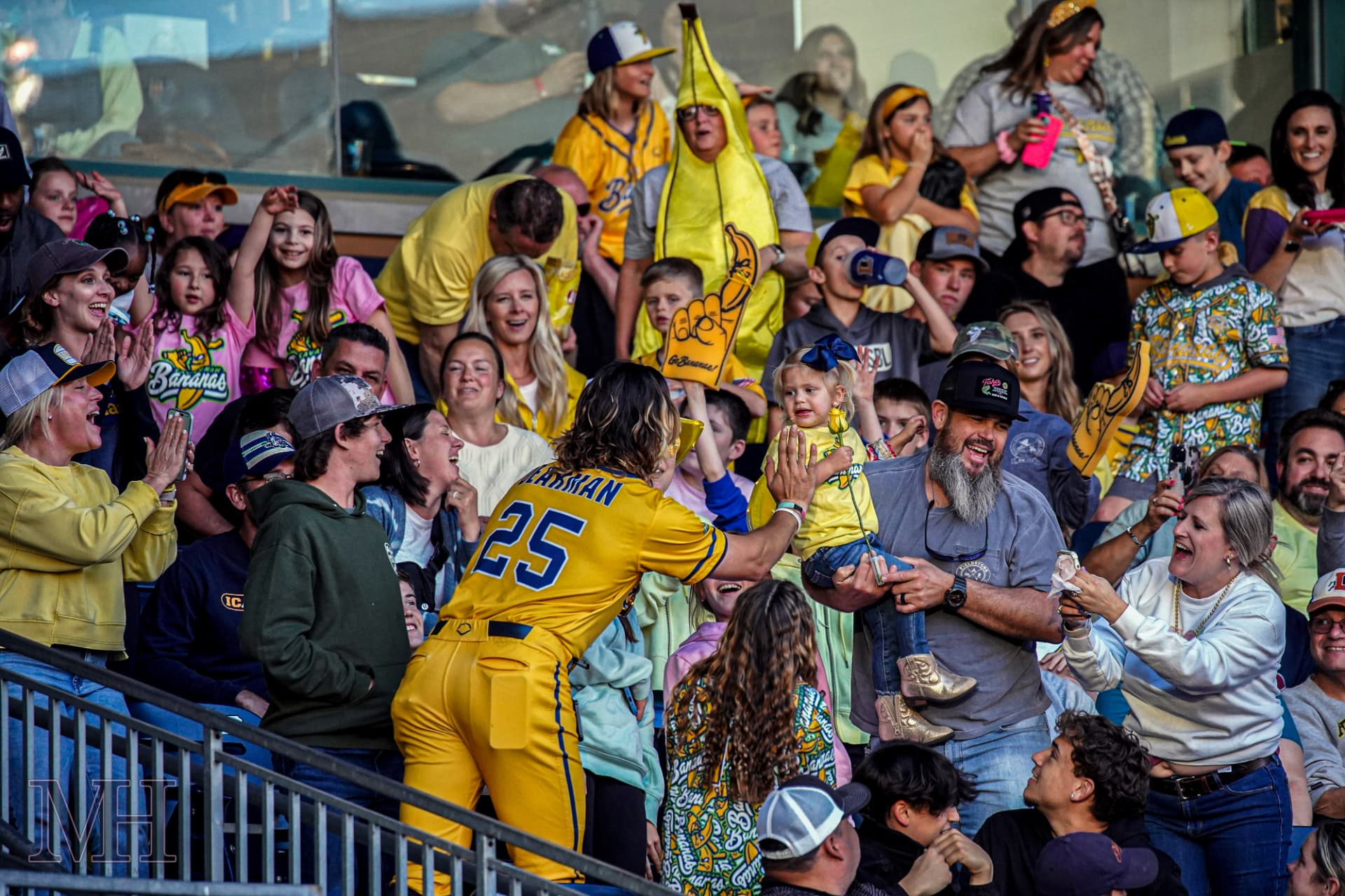 Fans cheering and celebrating in the stands